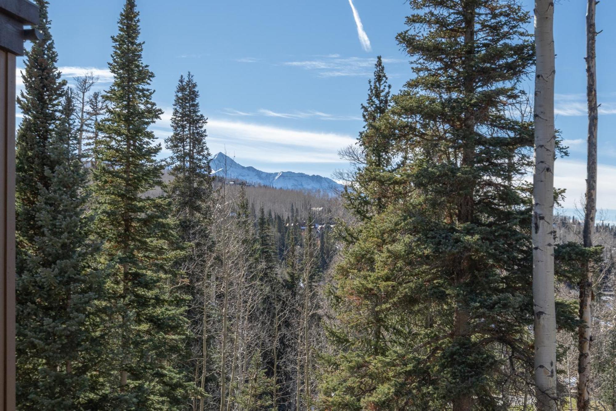 The At Belvedere By Exceptional Apartment Telluride