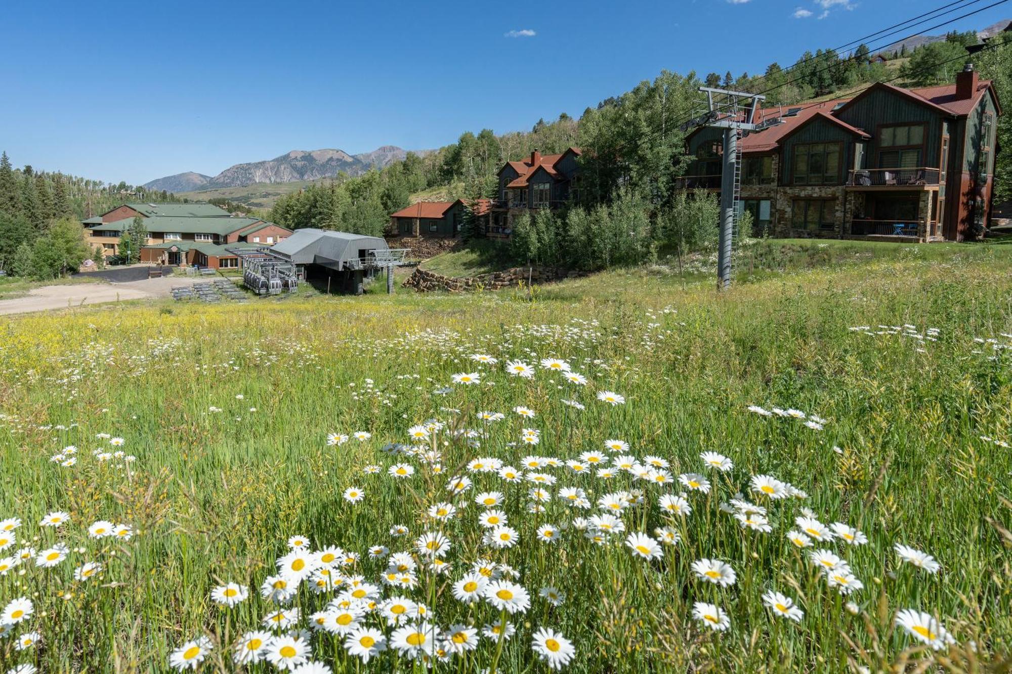 Apartment Terraces 1301 By Exceptional Telluride