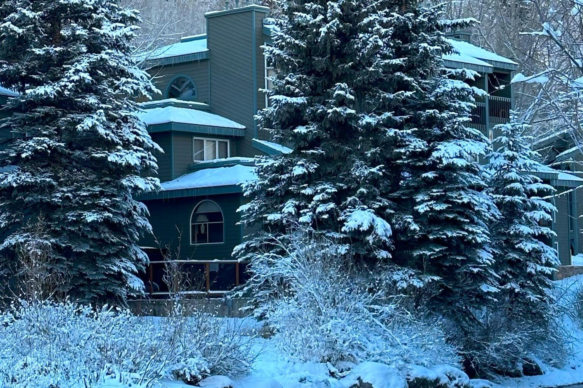 Apartment Riverside A103 By Exceptional Telluride