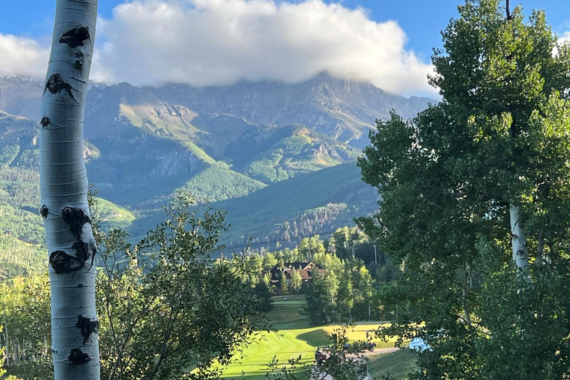 Palisade At Pine Meadows By Exceptional * Telluride