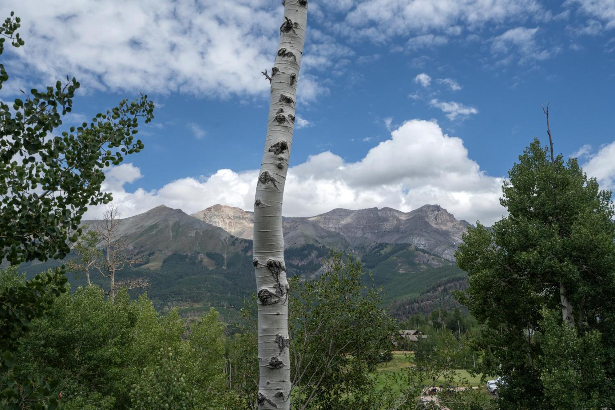 Palisade At Pine Meadows By Exceptional
