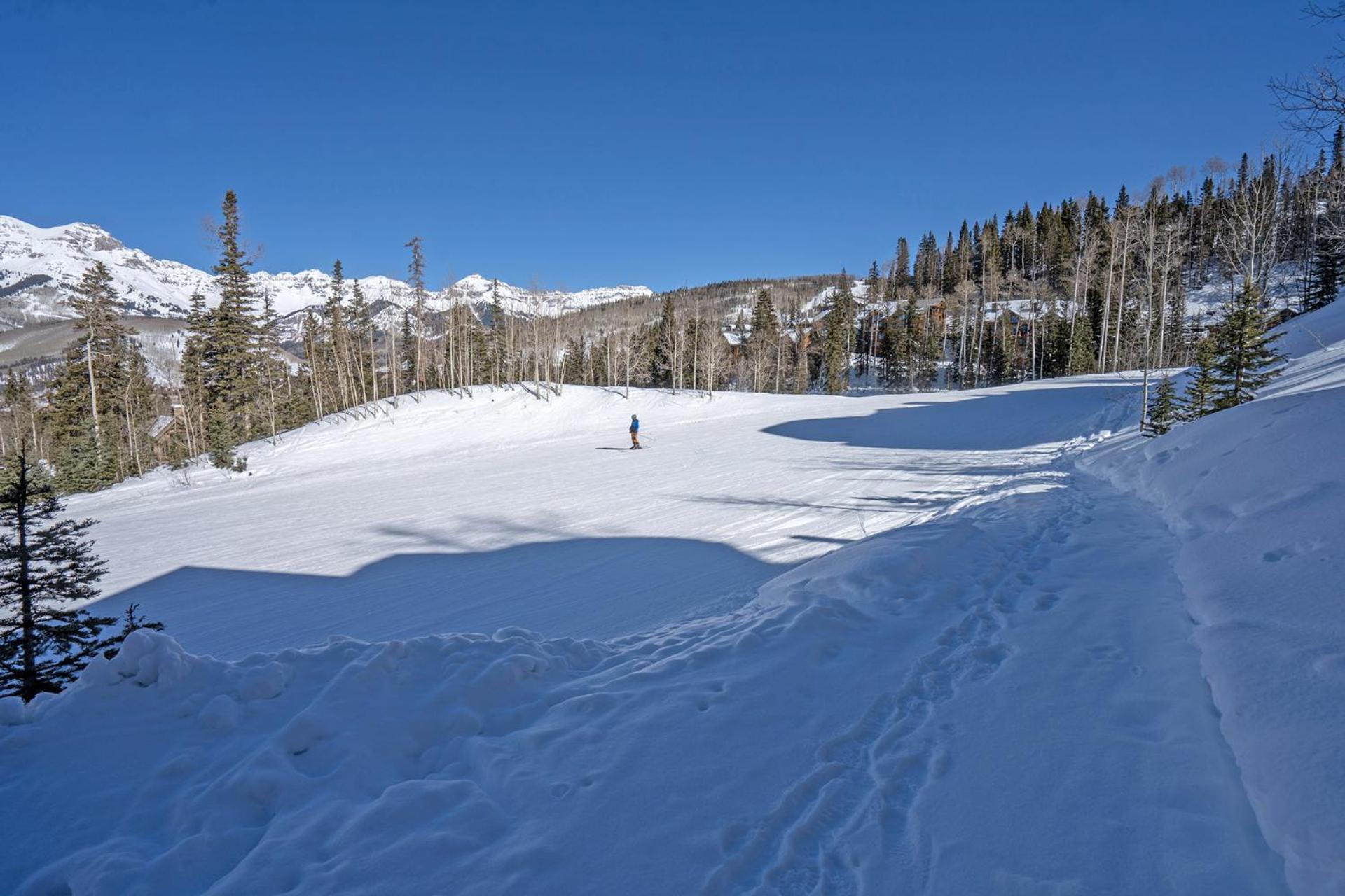 Picture Perfect By Exceptional Telluride