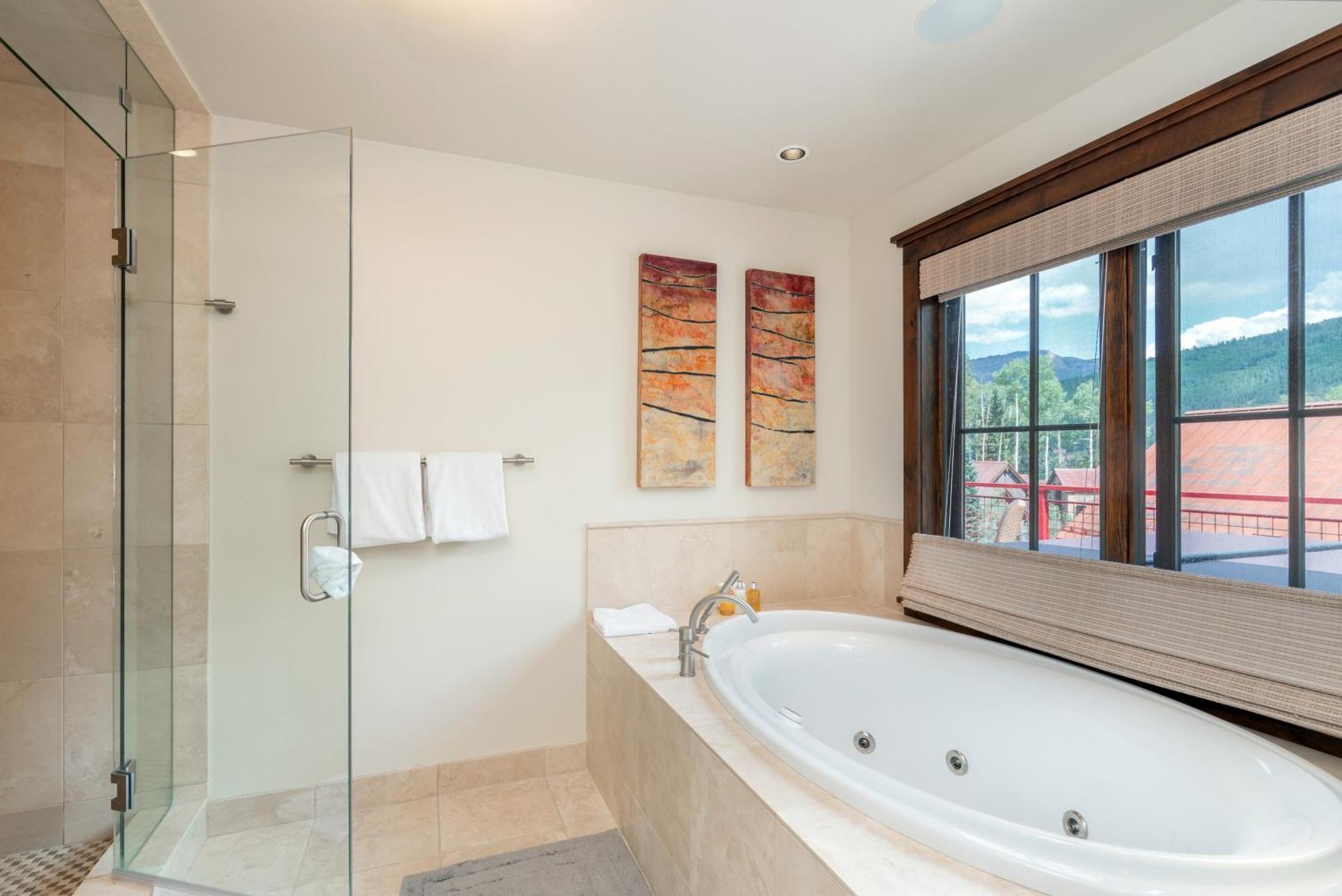 Trails Edge Apartment Telluride