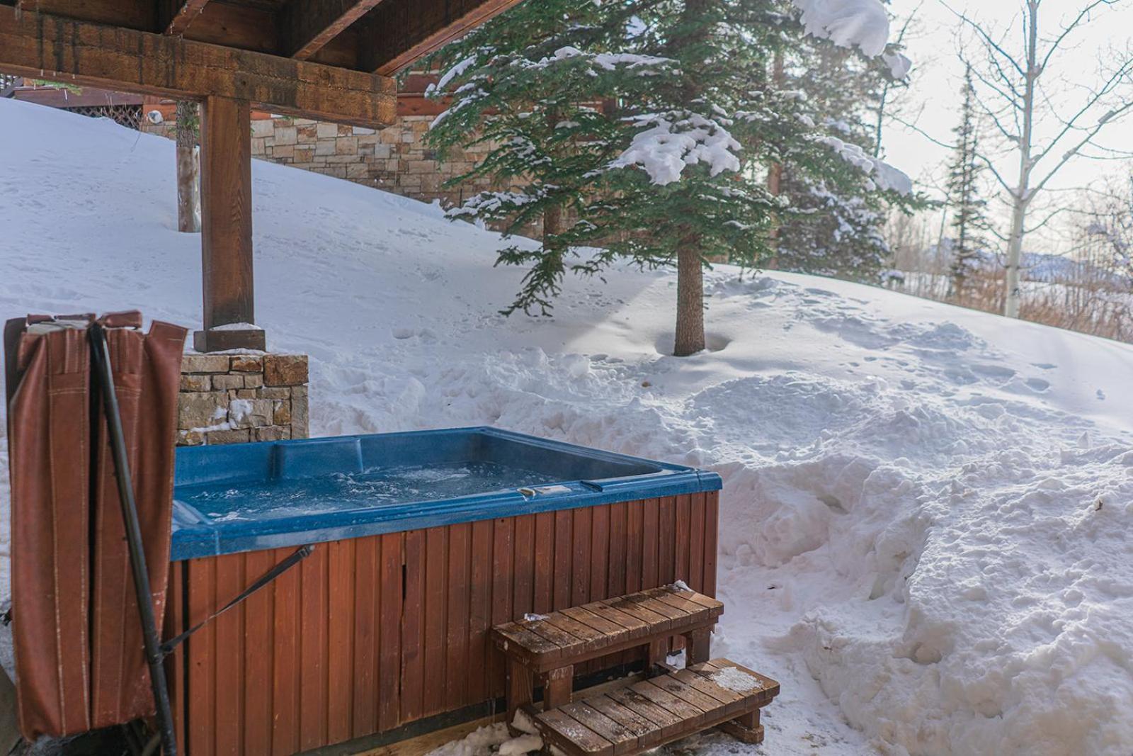 Double Eagle B2 Picturesque Mountain - 3 Bedroom 3 Ba, Sleeps 8 Telluride