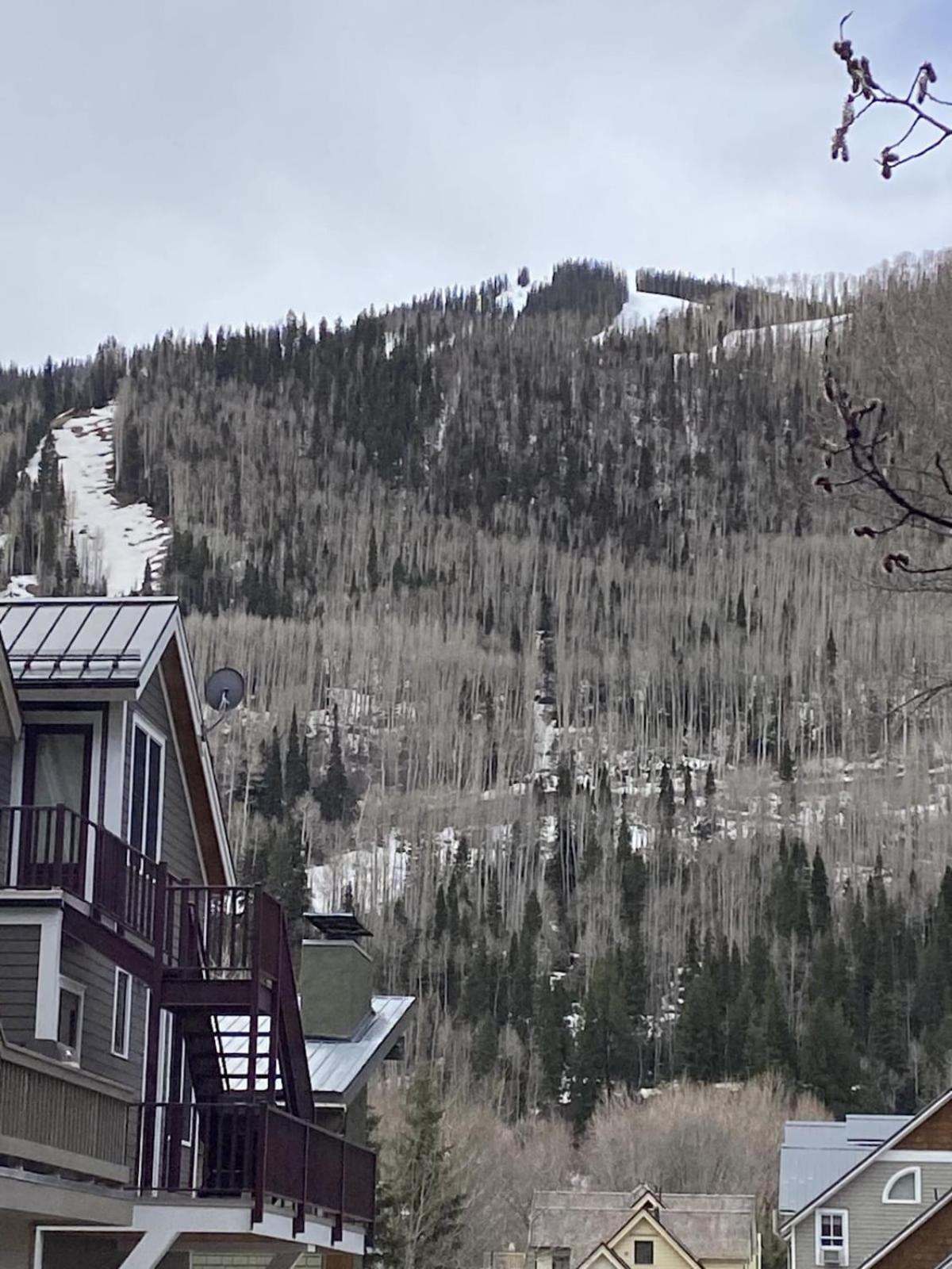 Tomboy #138 Apartment