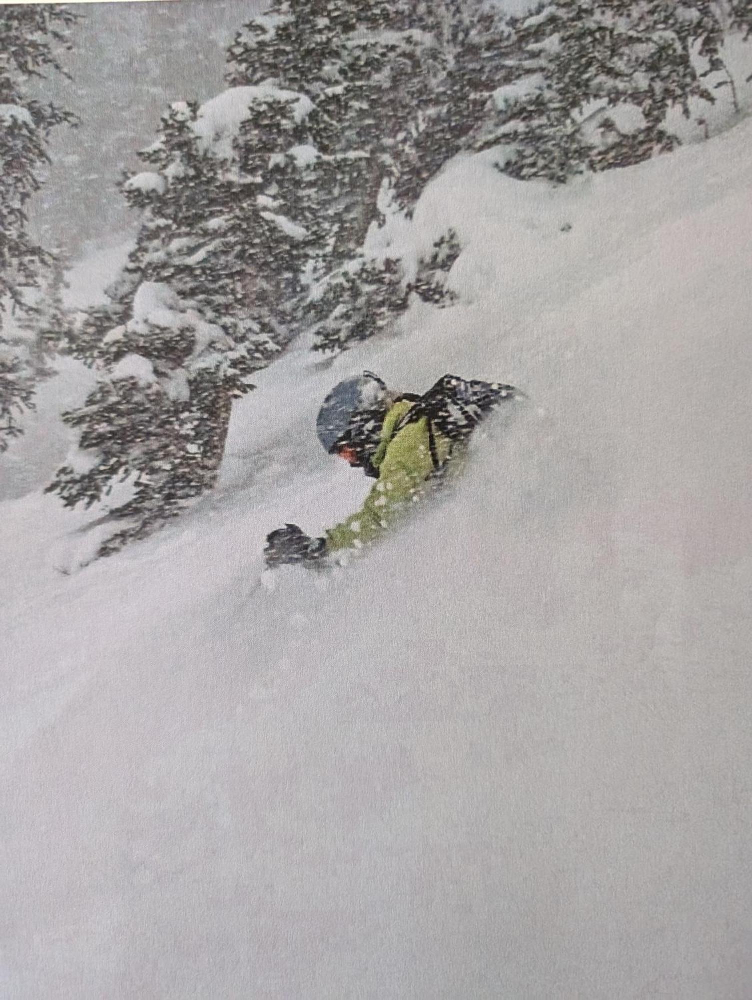 Apartment Peaceful Sunny Out In Condo, Parking, Pets