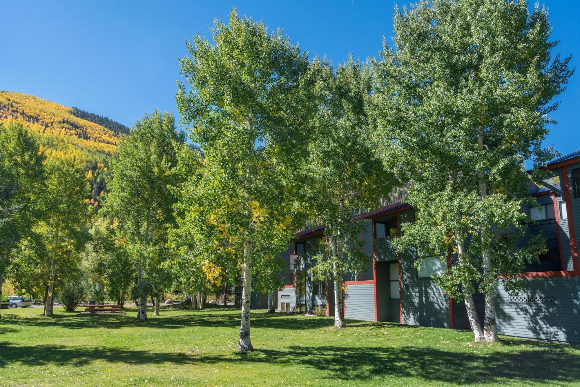 526 - A True Mountain Retreat In Beautiful Town, Apartment *