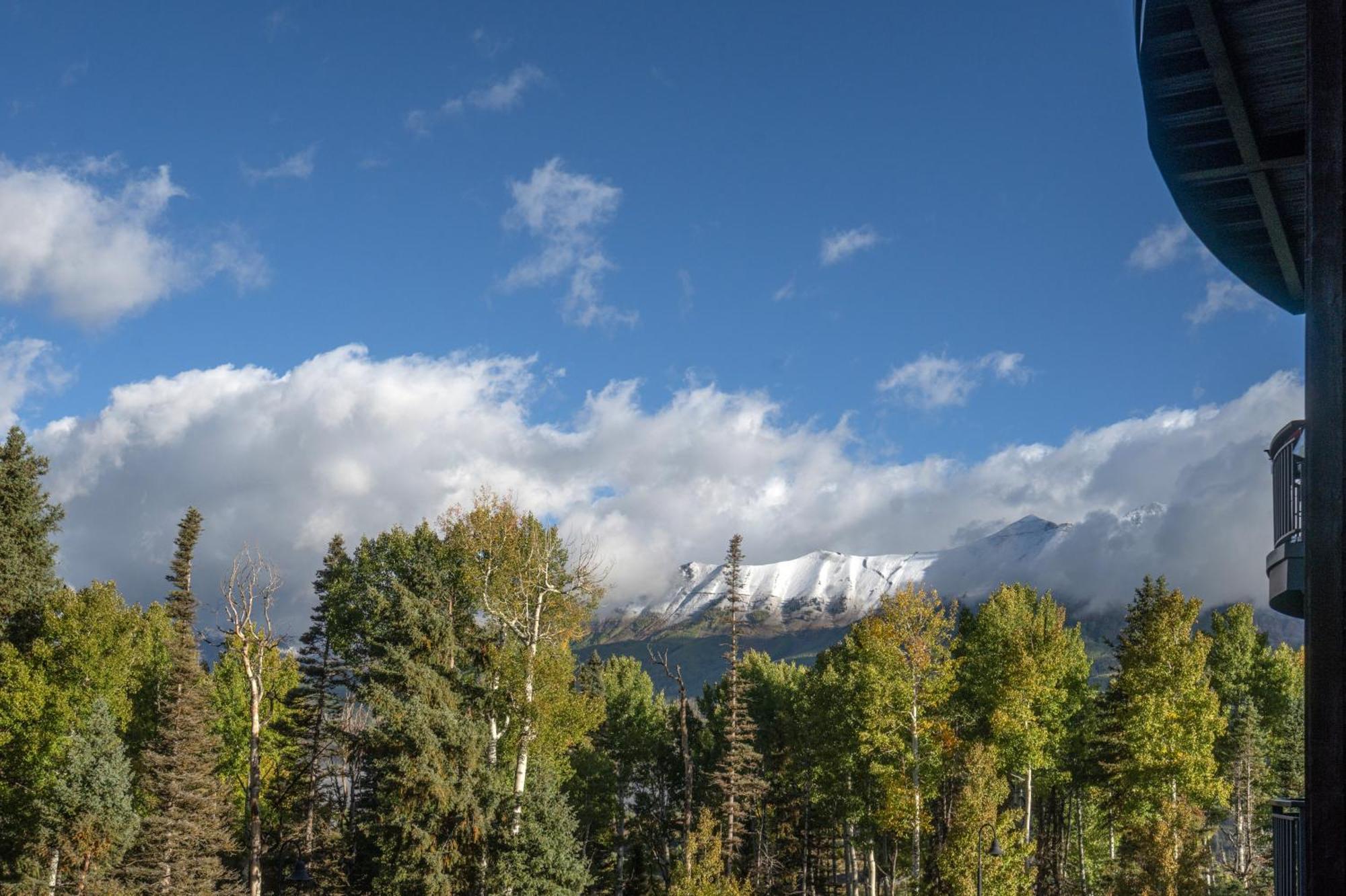 Bear Creek 211 By Alpine