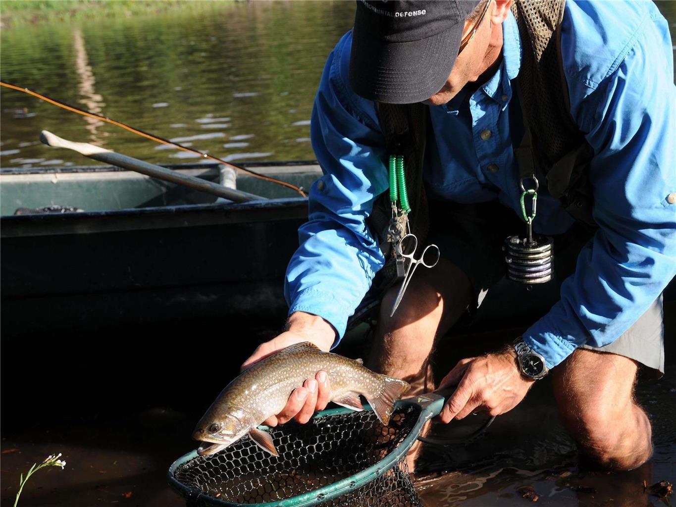 Fairmont Heritage Place, Franz Klammer Telluride
