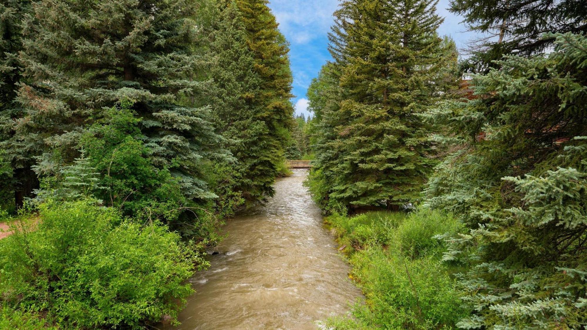 Apartment Manitou River House 113 By Avantstay A Location Telluride