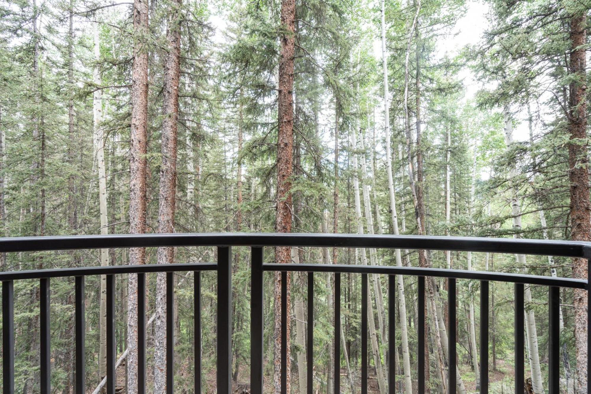 Apartment Bear Creek 201 *