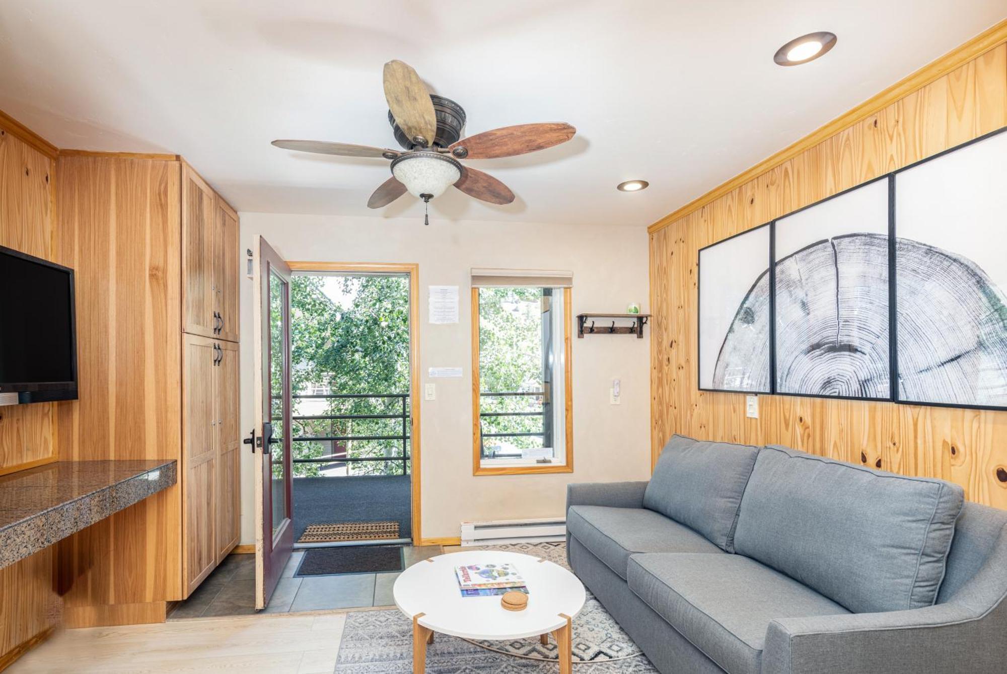 Apartment Viking 313 Telluride