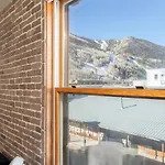 Colorado Ave East 101 - Ski Loft House