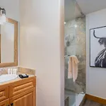 Apartment Bear Creek 408 By Alpine Telluride