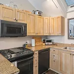 Remodeled Luxury Condo - Skii In Skii Out