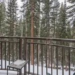 Bear Creek 203ab By Alpine *