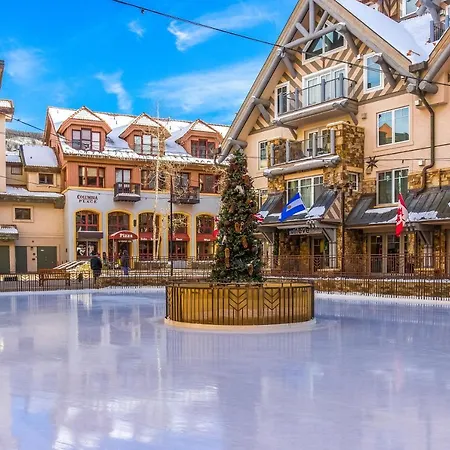 Twin Elk By Exceptional Chalet Telluride