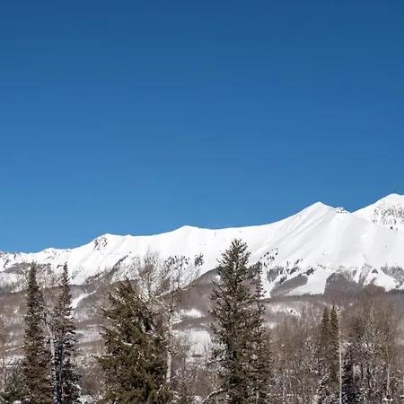 Apartment Bear Creek 209 Telluride