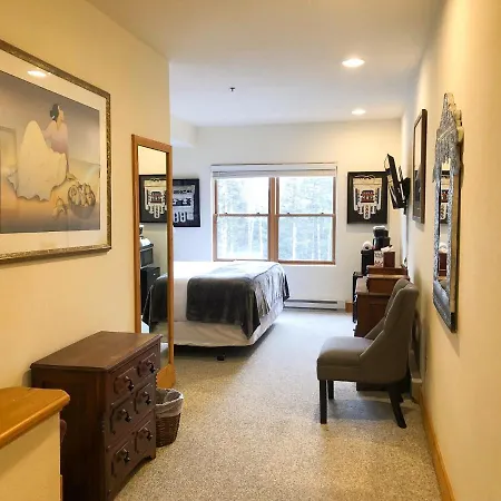 Apartment Bear Creek 209 Telluride