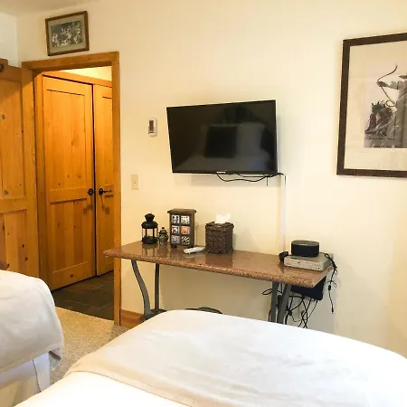 Apartment Bear Creek 209a Telluride