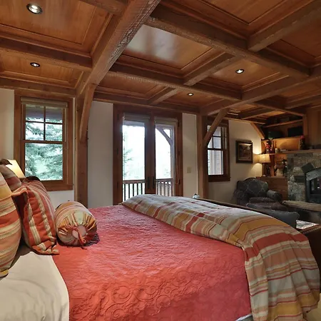 Mountain Village Marvel W/ Hot Tub & Gym! Holiday home Telluride