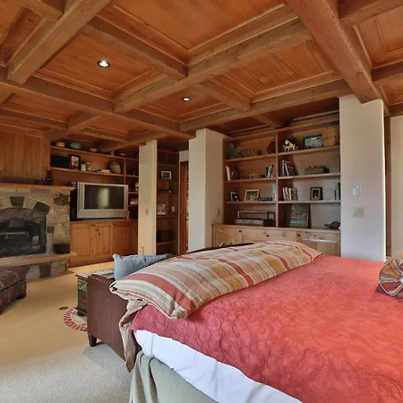 Mountain Village Marvel W/ Hot Tub & Gym! *