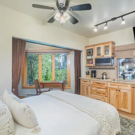 Viking 100b Apartment Telluride