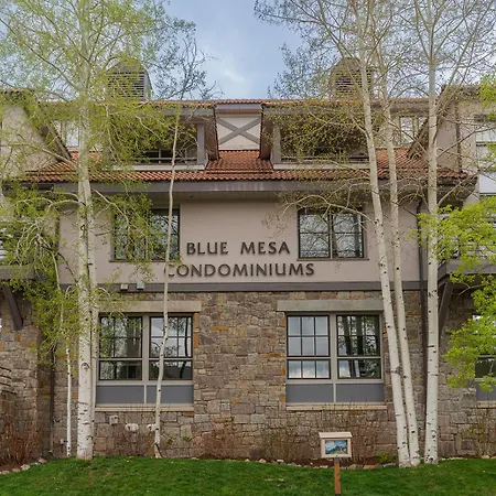Blue Mesa 2 Inout Hot Tub Access 3bd 3ba Sleeps 8-12 * Telluride