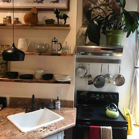 Main Street Glorious Penthouse Apartment Telluride