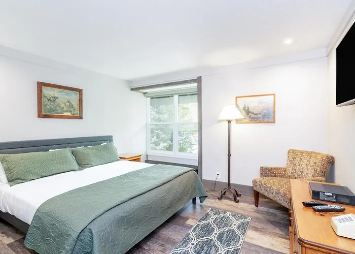 Mountainside Inn 113 By Alpine Lodging Telluride