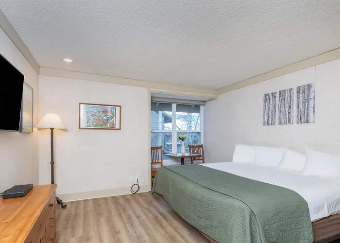Mountainside Inn 314 By Alpine Lodging Telluride