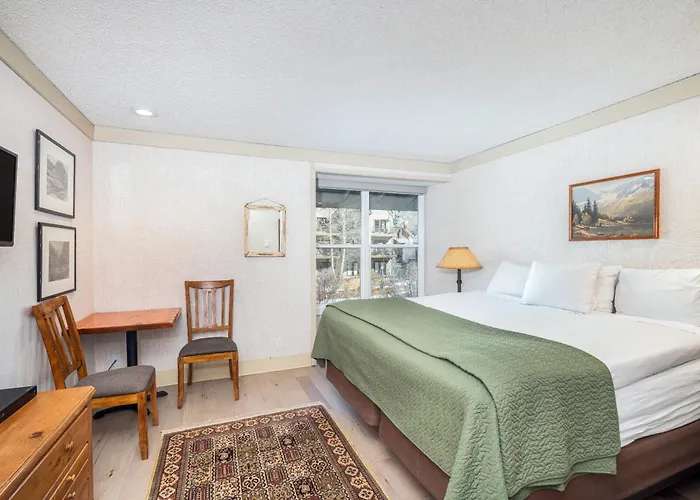 Mountainside Inn 221 By Alpine Lodging Telluride