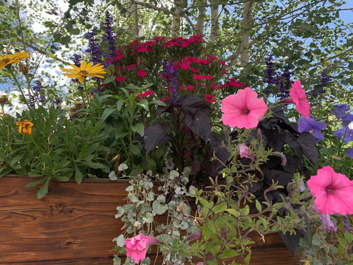 Apartment Lorian 4 True Ski-In Ski-Out Resort Condo 4Bd 3.5Ba - Sleeps 12 *