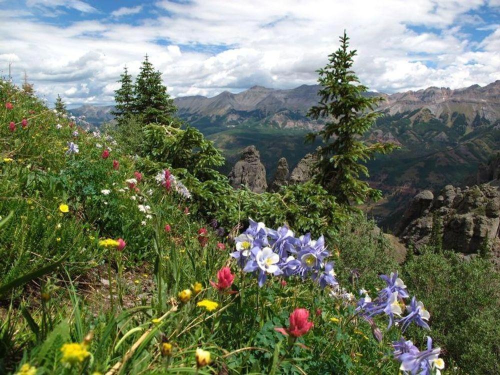 Sunny Condo, Box Canyon Views, Pool & Hot Tub * Telluride