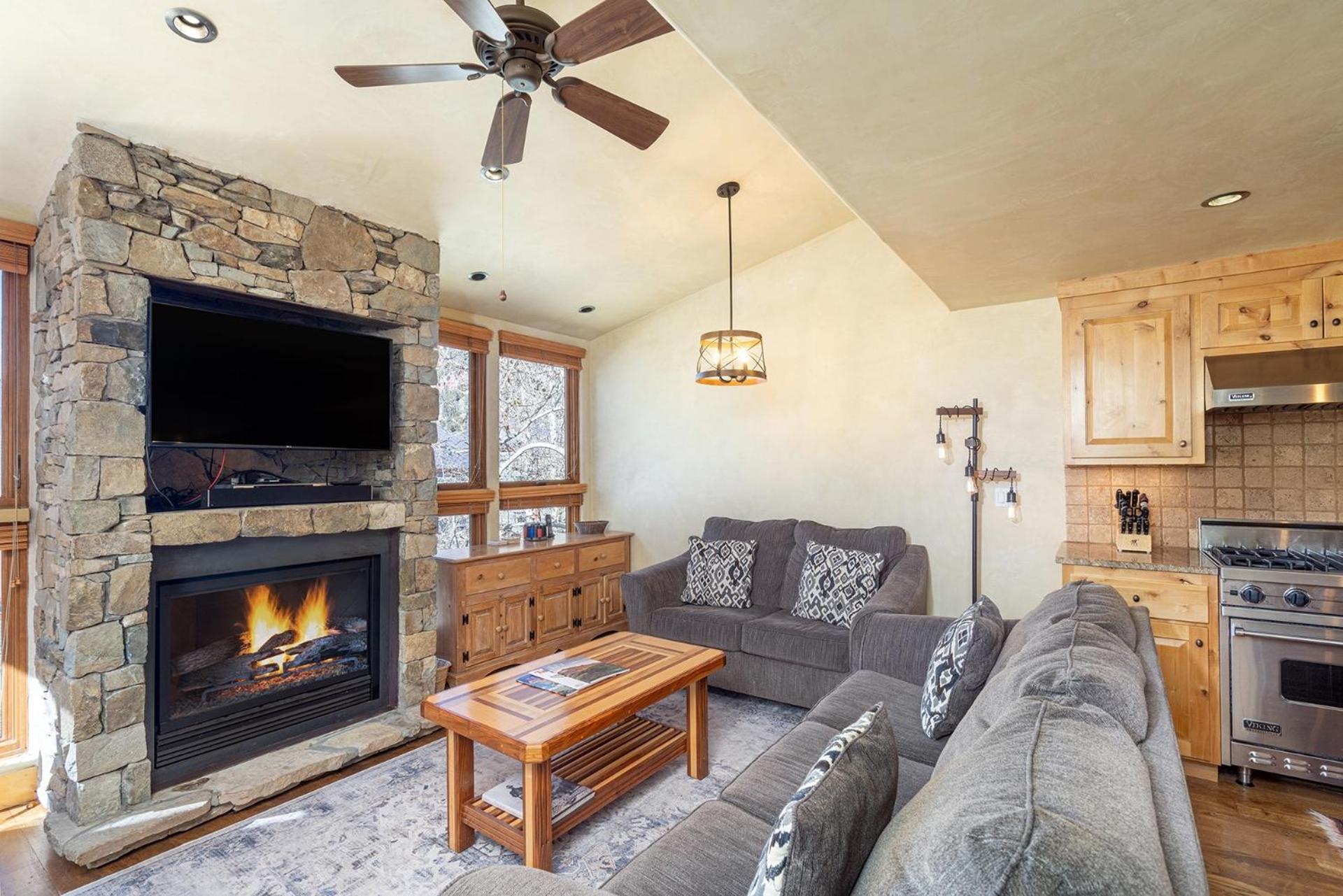 Life! Walk Or Shuttle To Lifts - Fireplace, Hot Tub Apartment Telluride
