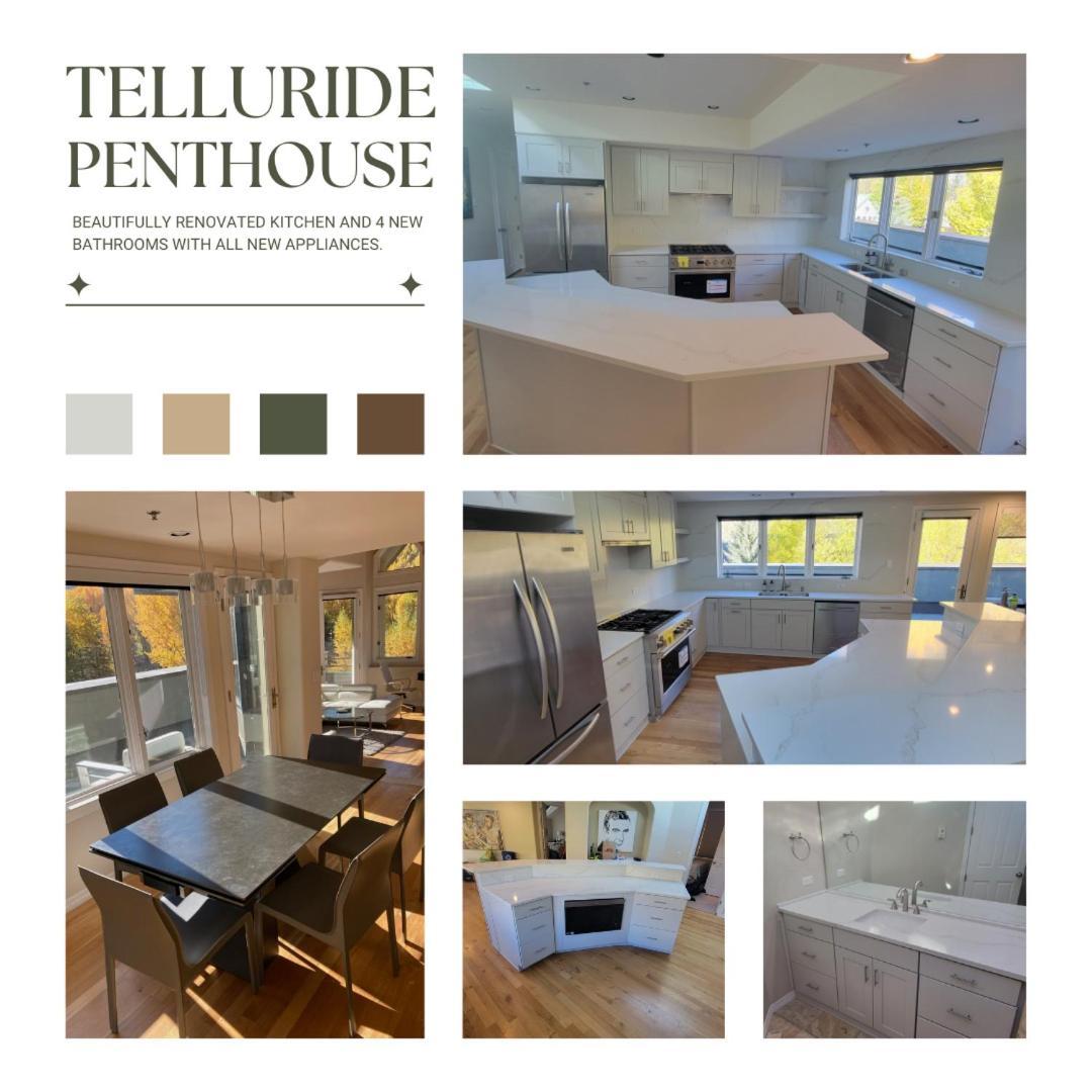 Apartment Penthouse Telluride