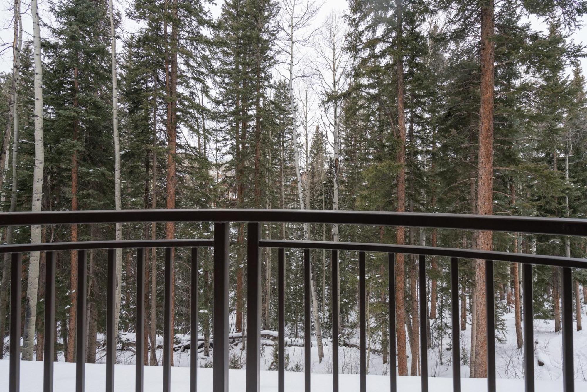 Bear Creek 205a By Alpine Telluride