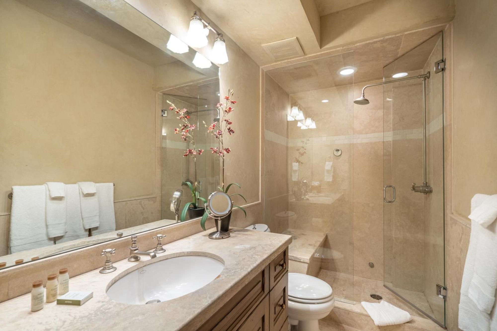 211 A South Oak By Exceptional Telluride