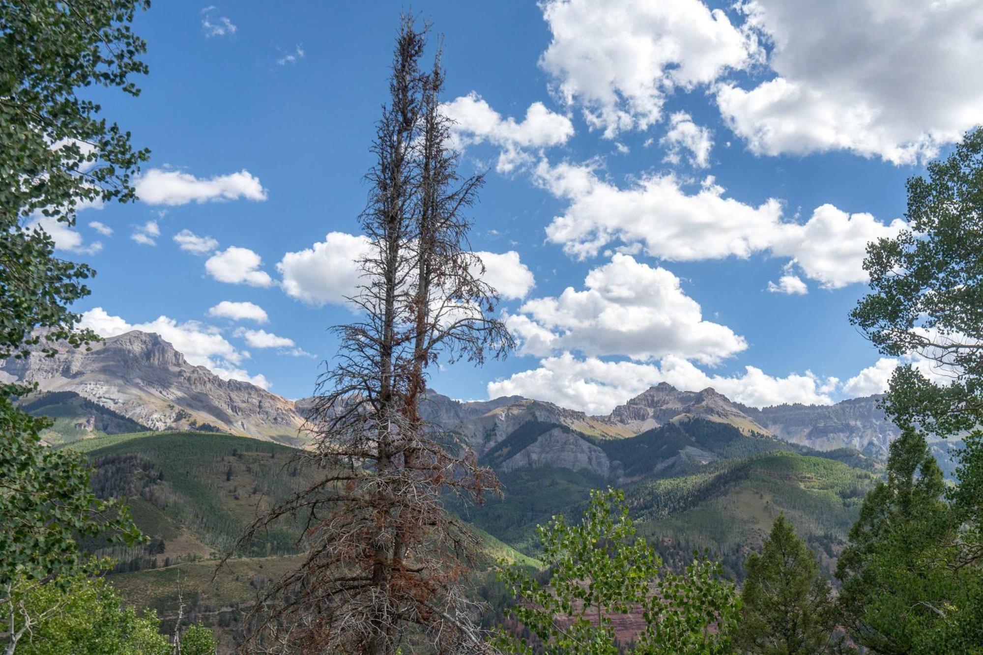 Holiday home Crystal Ridge Retreat Hot Tub Walk To Lifts Telluride