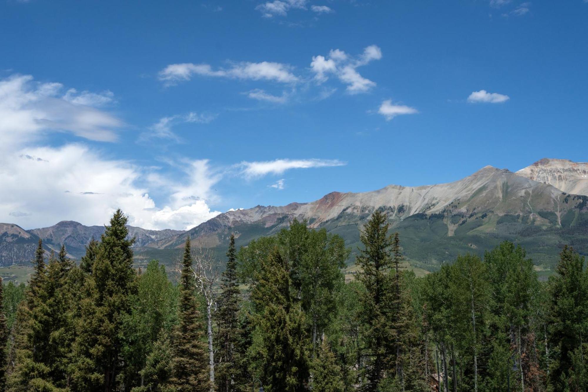 Bear Creek 310 By Alpine Apartment