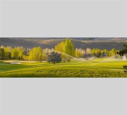 Pine Meadows At Mountain Village By 3*