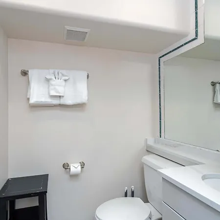Pet-friendly Penthouse With Shared Hot Tub * Telluride