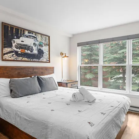 Etta Place 6 By Avantstay Telluride